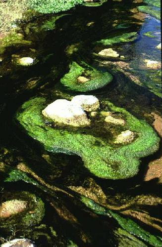 Parque Nacional El Rey