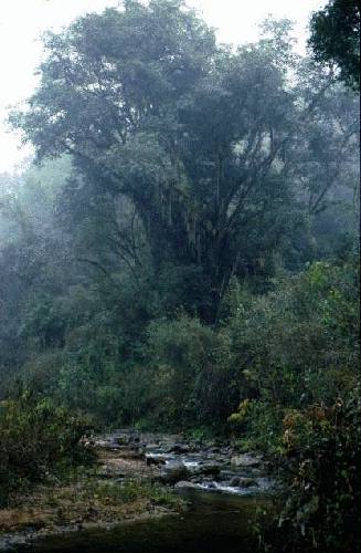Parque Nacional El Rey