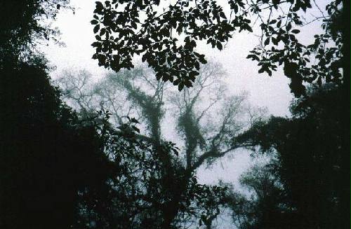 Parque Nacional El Rey