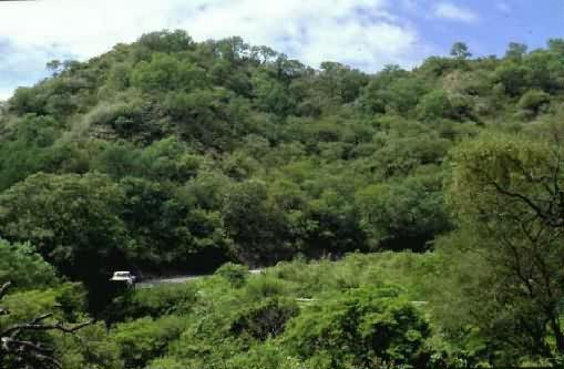 Area Natural Baados de Figueroa