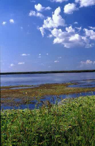 Area Natural Baados de Figueroa