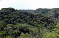 guasayan2.jpg