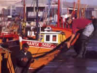 Banquina de pescadores en Mar del Plata