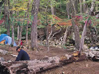 Parque Nacional Nahuel Huapi