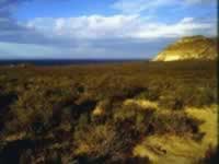 Reserva Provincial Caleta Valdés 