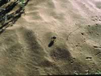 Medanos Grandes