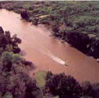 Delta del Paraná