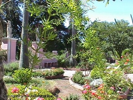 110.jpg