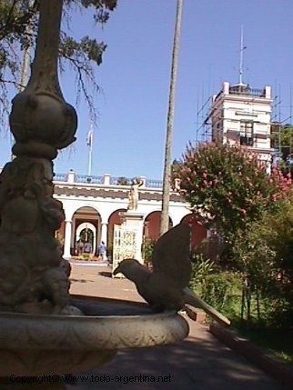 117.jpg