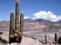 Quebrada de humahuca