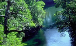 Rio Hua Hum en Neuquen