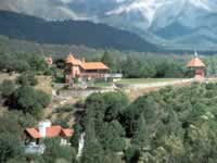 Merlo San Luis