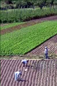 Agricultores en Santa Fé