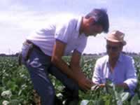 Productores observando su cosecha