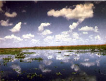Esteros del Iber&aacute;