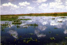 Esteros del Iber&aacute;