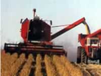 Santa Fe es rica en la industria agropecuaria