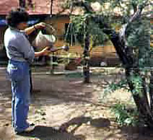 Santiago del estero