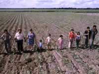 Labradores de Santiago del Estero
