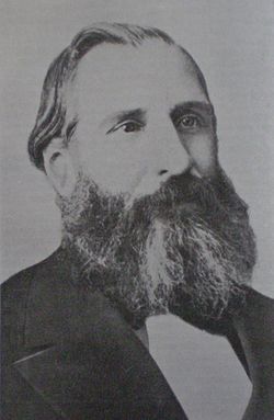 Adolfo Alsina