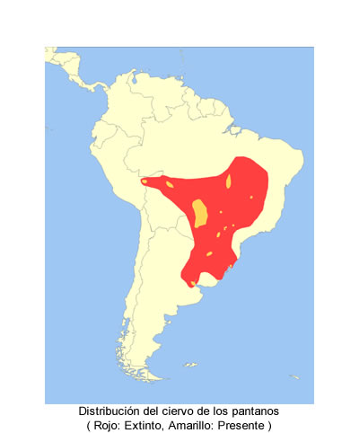 distribución del ciervo de los pantanos