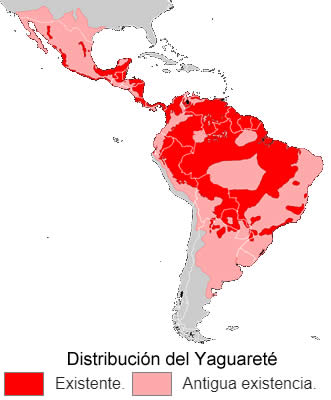 Distribución del Yaguarete