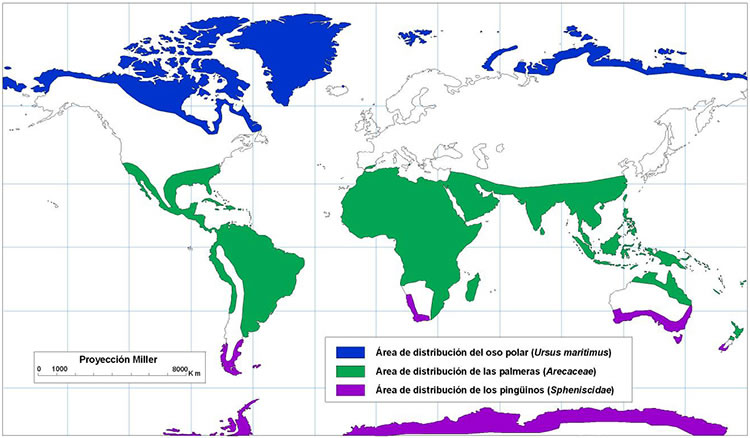  área circumterrestre 