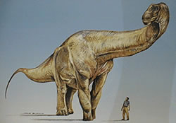 "Argentinosaurus Huinculensis" 