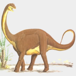 Dibujo de un Patagosaurus fariasi 