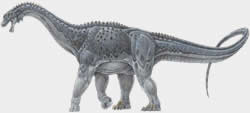 Puertasaurus reuili