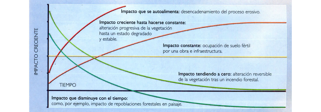 Diversos tipos de impacto ambiental en relación con su evolución positiva o negativa