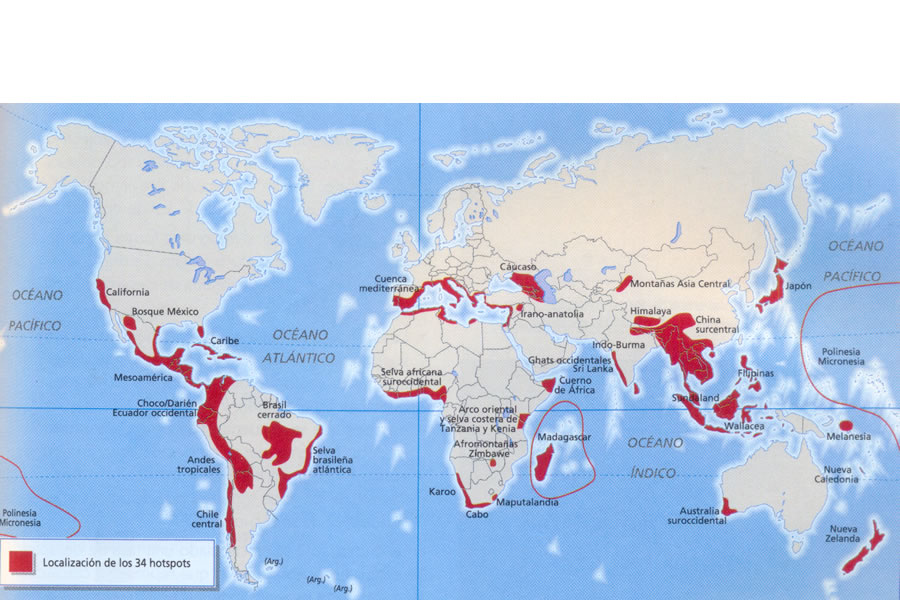 Localización de los 34 hotspots. Fuente: Modificado de Heywood, 2000. Los hotspots son unas zonas críticas para la biodiversidad, que contienen una elevadísima cantidad de especies que además están sometidas a una fuerte pérdida de hábitats.