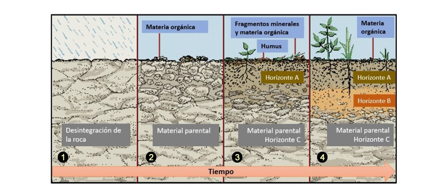 formacion del suelo