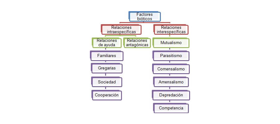 relaciones intraespecificas