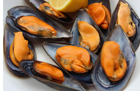 Cría de mejillones