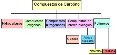 Química de los seres vivos - - Compuestos de carbono