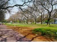 Parque de los Andes