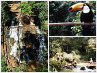 Parque Nacional Iguazú