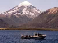 Parque Nacional Lanin