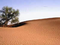 Medanos Grandes