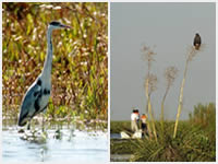 Parque Nacional Iberá