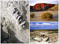 Valle de la luna