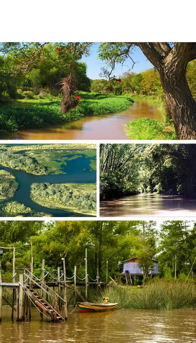 Delta del Paraná