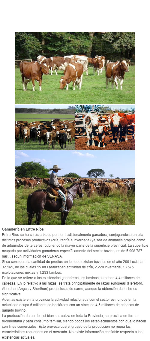 Ganadería en Entre Ríos Entre Ríos se ha caracterizado por ser tradicionalmente ganadera, conjugándose en ella distintos procesos productivos (cría, recría e invernada) ya sea de animales propios como de adquiridos de terceros, cubriendo la mayor pa