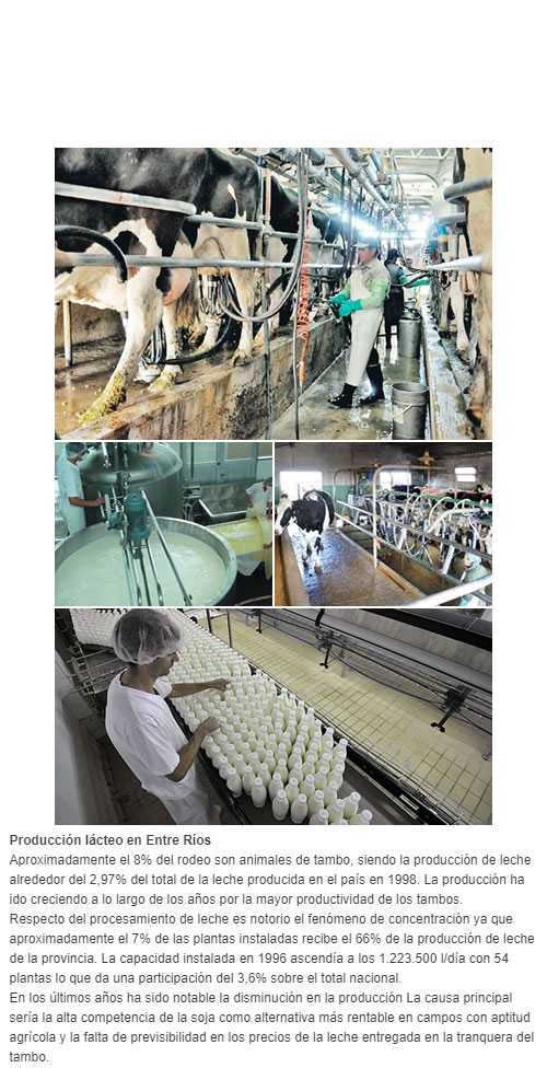 Producción lácteo en Entre Ríos   Aproximadamente el 8% del rodeo son animales de tambo, siendo la producción de leche alrededor del 2,97% del total de la leche producida en el país en 1998. La producción ha ido creciendo a lo largo de los años por
