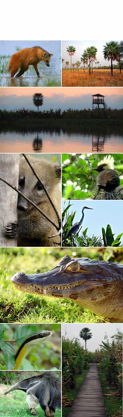 Parque Nacional Río Pilcomayo