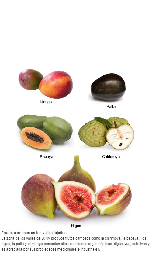 La zona de los valles de Jujuy produce frutos carnosos como la chirimoya, la papaya , los higos, la palta y el mango presentan altas cualidades organolépticas, digestivas, nutritivas y es apreciada por sus propiedades medicinales e industriales.