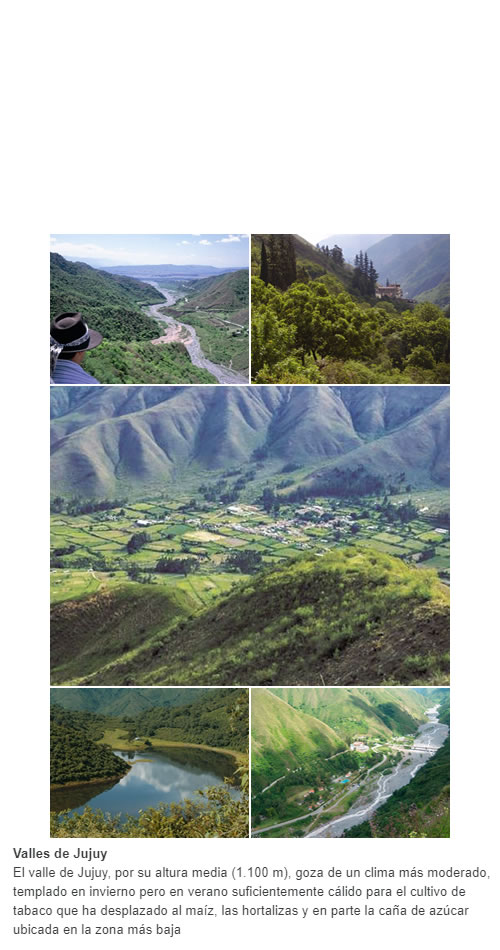 El valle de Jujuy, por su altura media (1.100 m), goza de un clima más moderado, templado en invierno pero en verano suficientemente cálido