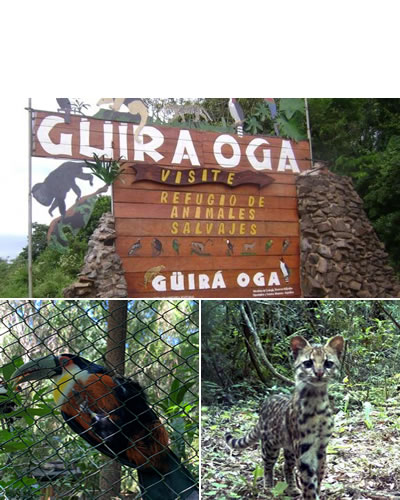 Centro de recuperación de animales Güirá Oga
