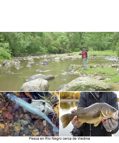 Pesca en Rio Negro cerca de Viedma